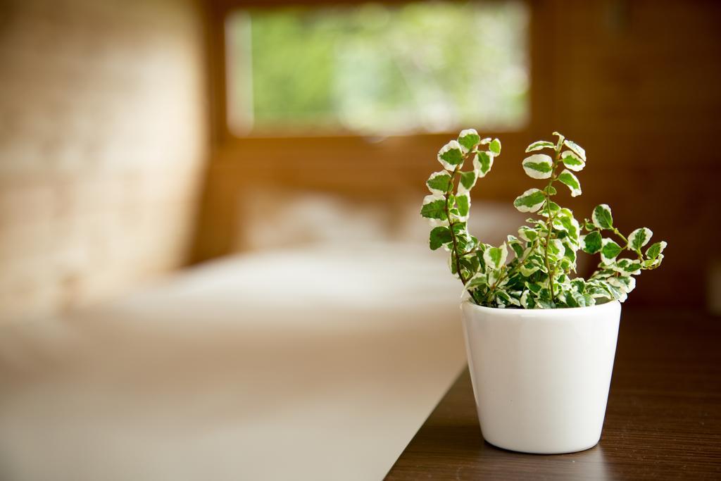 Brick House Furano Leilighet Rom bilde
